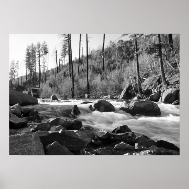 "American River", Black & White Poster (Framsidan)