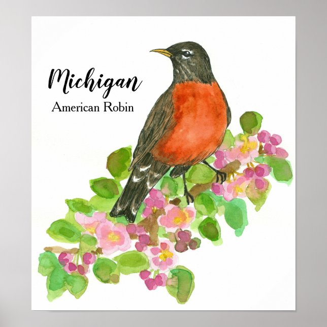 American Robin Apple Blossom Michigan Poster (Framsidan)