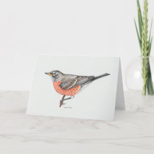 American Robin Art Card Tack Kort