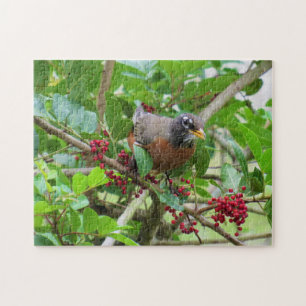 American Robin - Backyard Bird Series - Puzzle Pussel