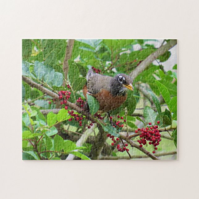 American Robin - Backyard Bird Series - Puzzle Pussel (Horisontell)