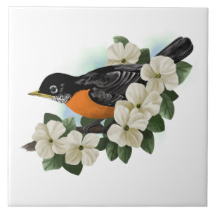 American Robin Bird Kakelplatta
