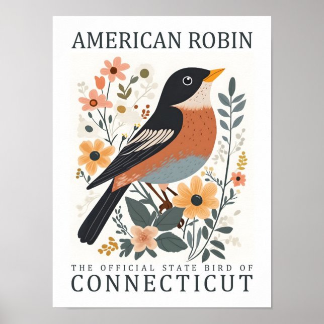 American Robin Bird of Connecticut USA Travel Poster (Framsidan)