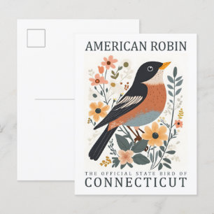 American Robin Bird of Connecticut USA Travel Vykort