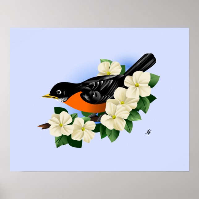 American Robin Bird Poster (Framsidan)