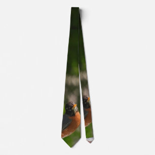 American Robin Bird Slips