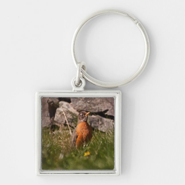 American Robin Fyrkantig Silverfärgad Nyckelring (Framsidan)