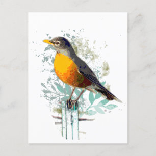 American Robin Garden Bird Wildlife Nature Art Vykort
