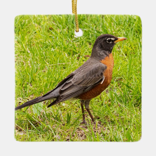 American Robin Julgransprydnad Keramik (Framsida)