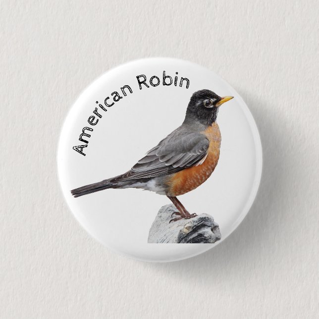 American Robin Knapp (Framsida)