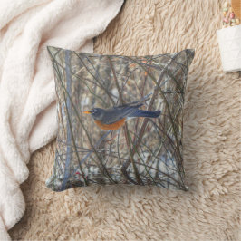 American Robin Kudde