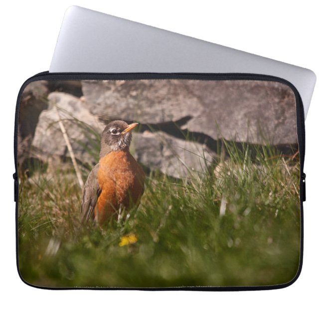 American Robin Laptop Fodral (Framsidan)