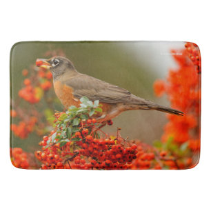 American Robin med en Pyracantha Pomme Badrumsmatta
