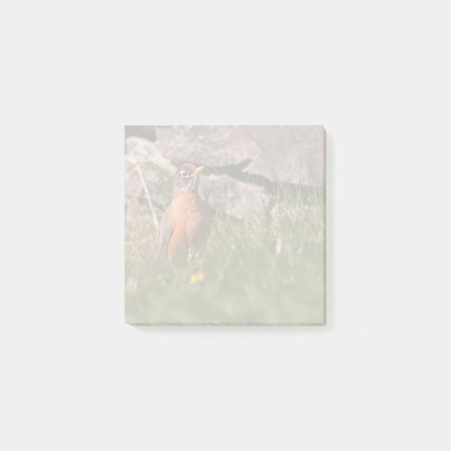 American Robin Post-it Block (Framsida)