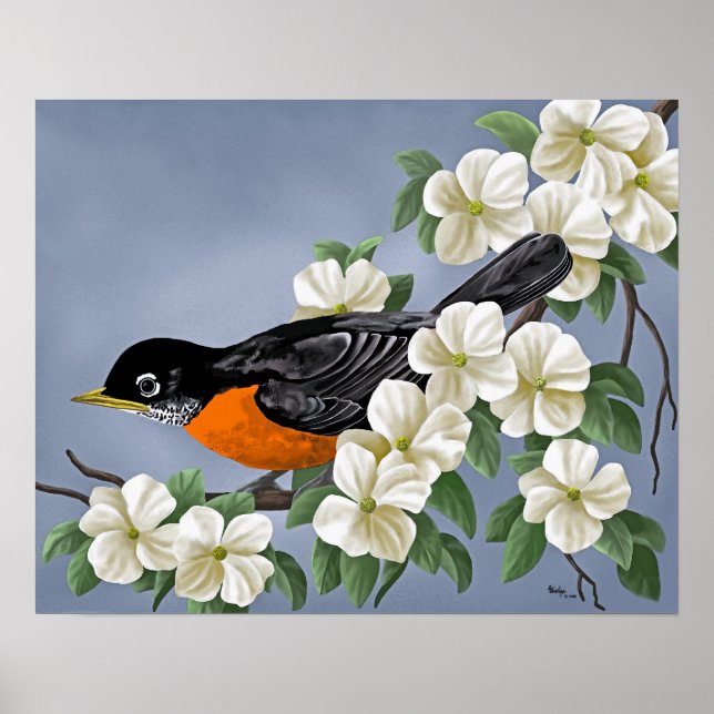 American Robin Poster (Framsidan)