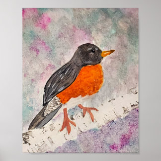 American Robin Poster