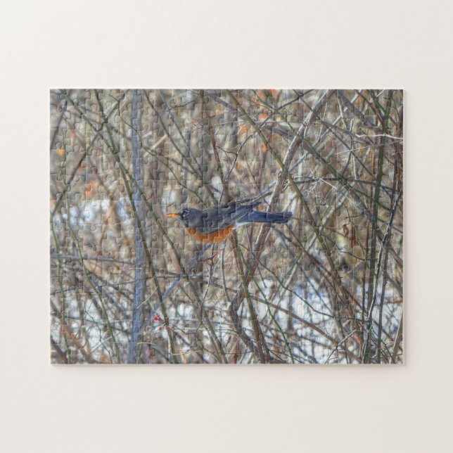 American Robin Pussel (Horisontell)