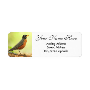 American Robin Returadress Etikett