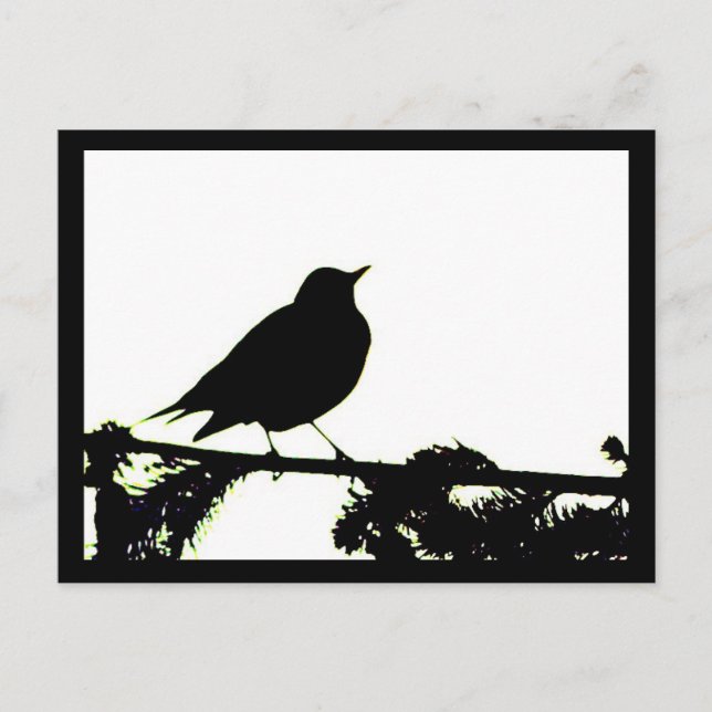 American Robin Silhouette-vykort Vykort (Framsida)