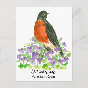 American Robin State Bird of Wisconsin Vykort