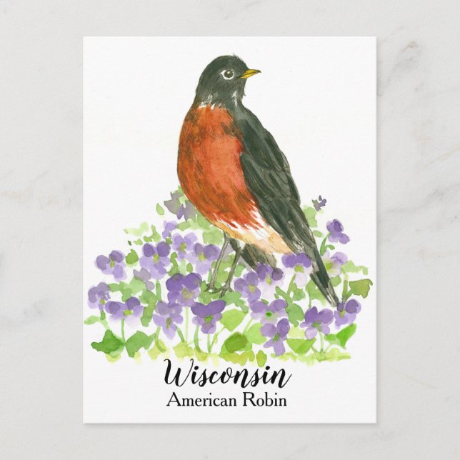 American Robin State Bird of Wisconsin Vykort (Framsida)