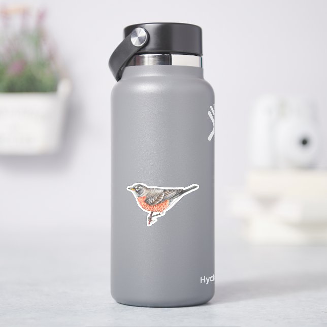 American Robin Sticker Klistermärken (HydroFlask)