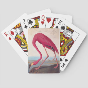American Rosa Flamingo Audubon Vintage Bird Art Casinokort