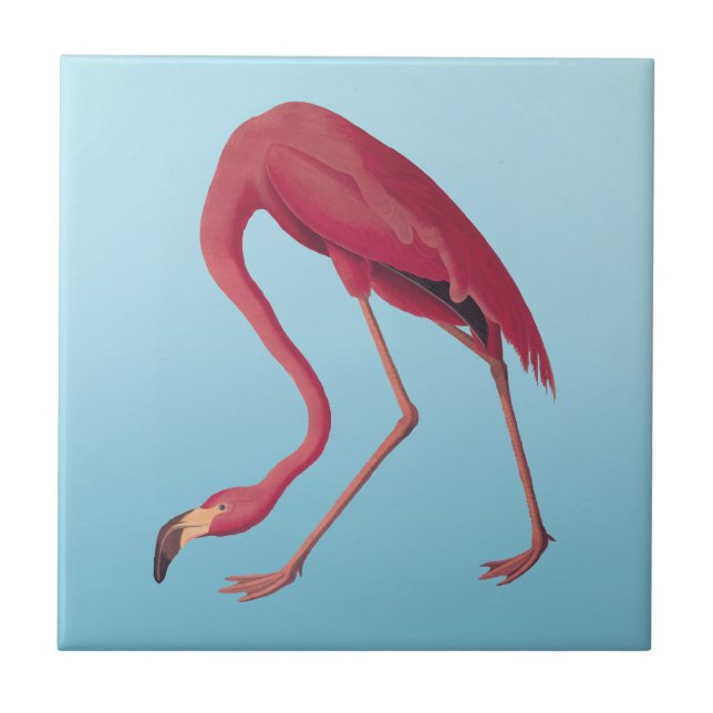 American Rosa Flamingo Vintage Art Kakelplatta (Framsidan)