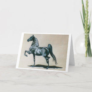 American Saddleaved Horse Blank Greeting Card Kort