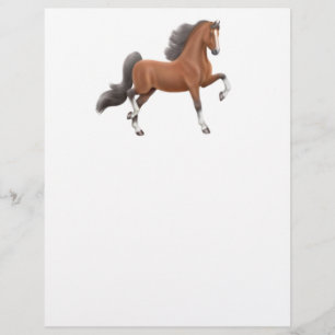 American Saddleborn Flyer