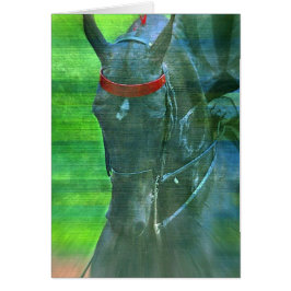 American Saddleborn Hälsningskort