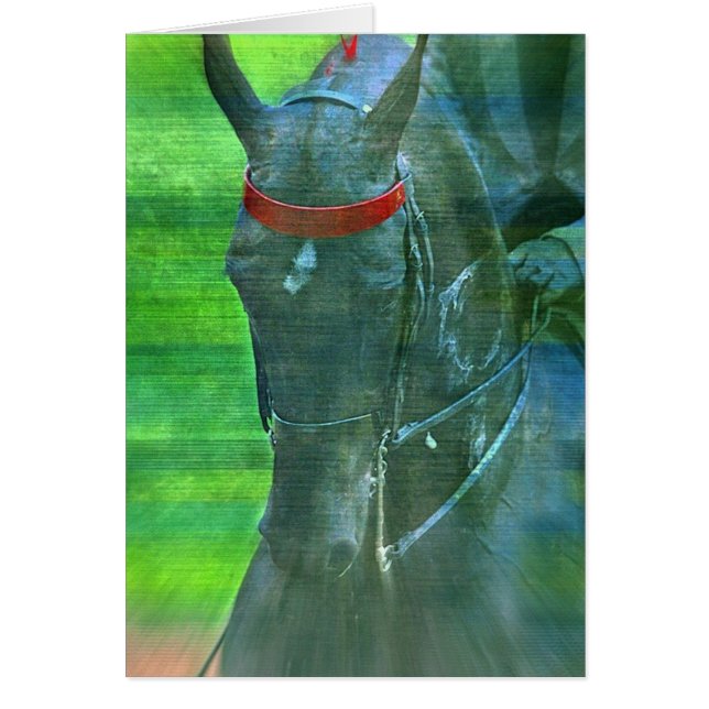 American Saddleborn Hälsningskort (Framsidan)