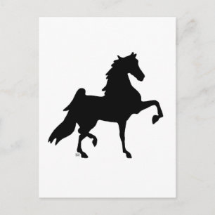 American Saddleborn Horse Vykort