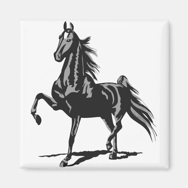 American Saddleborn Magnet (Framsidan)