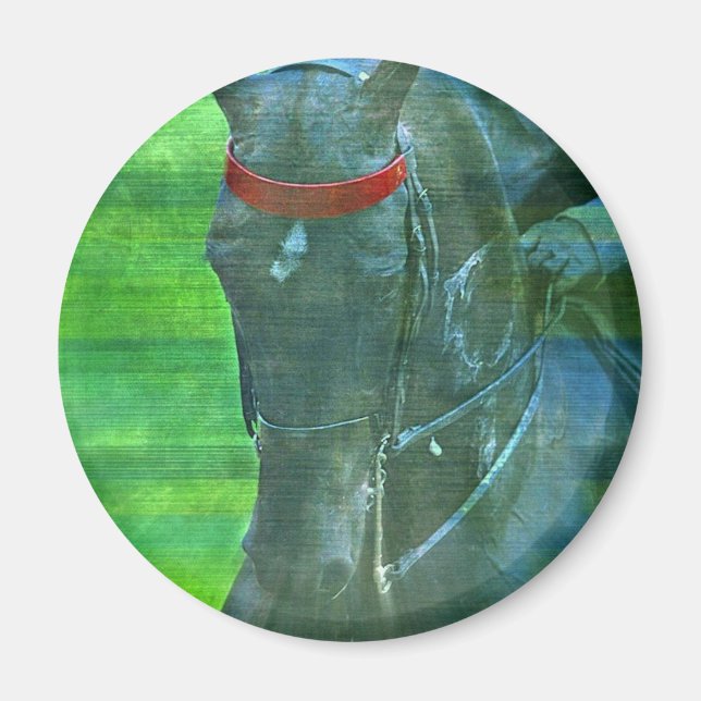 American Saddleborn Magnet (Framsidan)