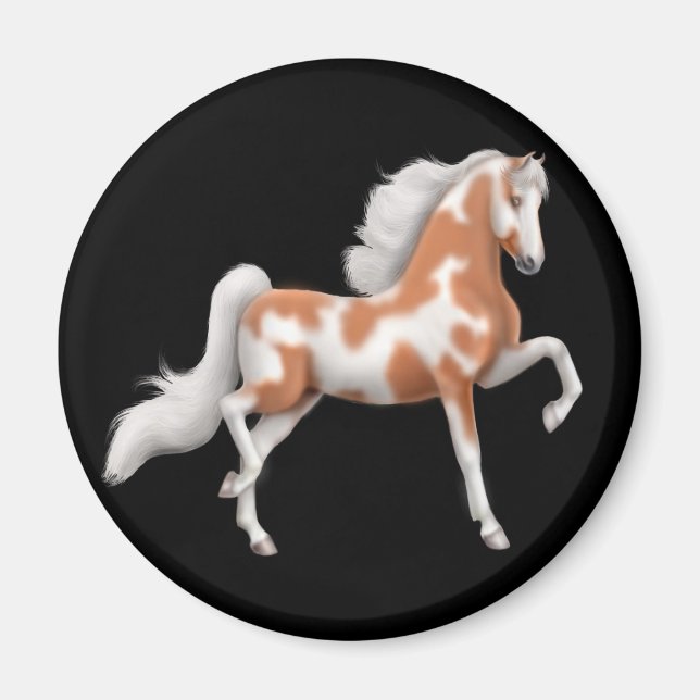 American Saddleborn Pinto Horse Magnet (Framsidan)