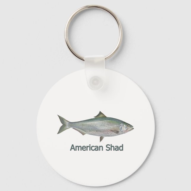 American Shad (titled) Nyckelring (Framsida)