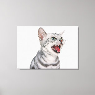 American Shorthair 5 Canvastryck