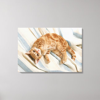 American Shorthair 7 Canvastryck