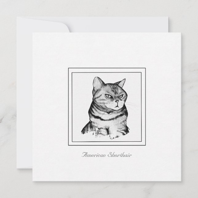 American Shorthair Black and White Cat Card Anteckningskort (Framsida)
