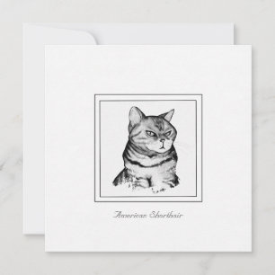 American Shorthair Black and White Cat Card Anteckningskort