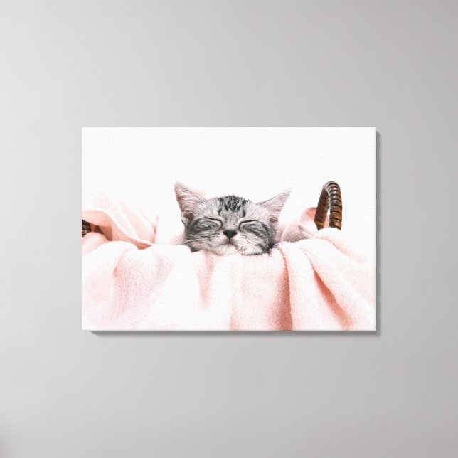 American Shorthair Cat Canvastryck (Framsida)