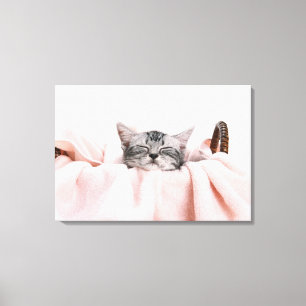 American Shorthair Cat Canvastryck