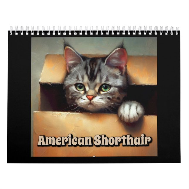 American Shorthair Cat Kalender (Omslag)