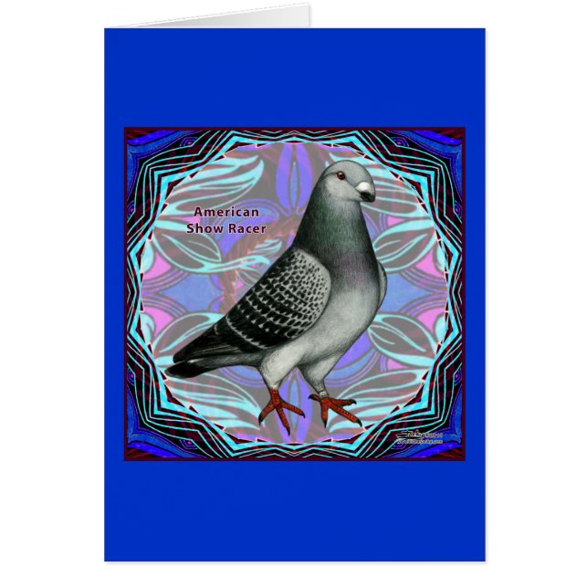 American Show Racer OBS Kort (Framsidan)