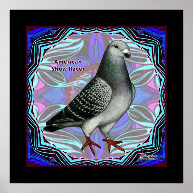 American Show Racer Poster (Framsidan)