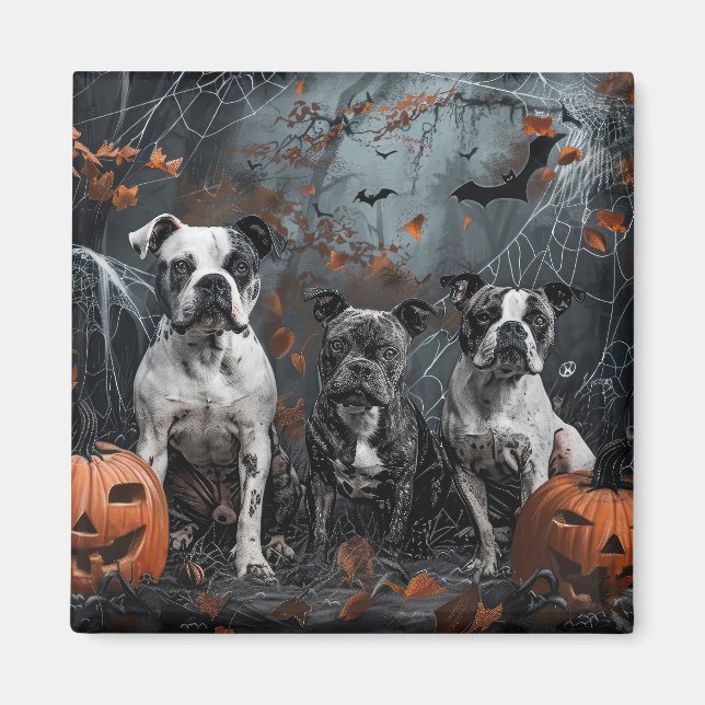 American Stafford Dshire Halloween Night Doggy Magnet (Framsidan)