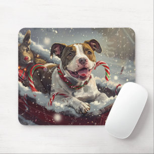 American Stafford Dshire Hund jul Festive Musmatta