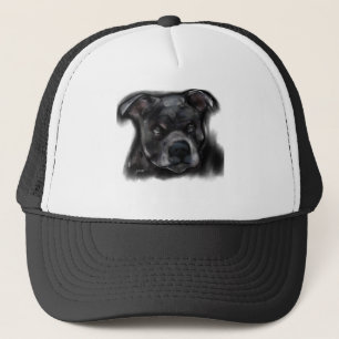 American Stafford Dshire Terrier Keps