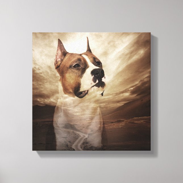 American Stafford Terrier - Amstaff Canvastryck (Framsida)